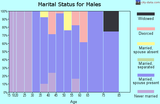 Zip code 43542 marital status for males