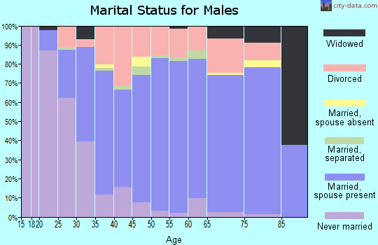 Zip code 43545 marital status for males