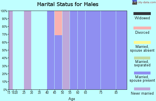 Zip code 43547 marital status for males
