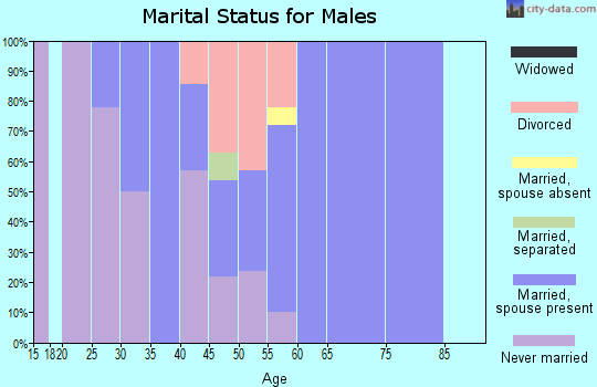 Zip code 43548 marital status for males