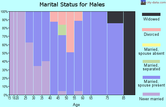 Zip code 43549 marital status for males