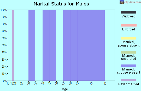 Zip code 43553 marital status for males