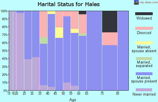 Zip code 43554 marital status for males