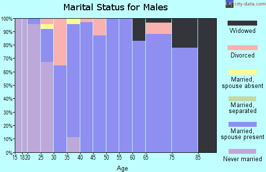 Zip code 43556 marital status for males