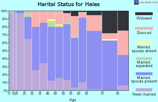 Zip code 43558 marital status for males