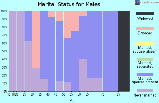 Zip code 43565 marital status for males