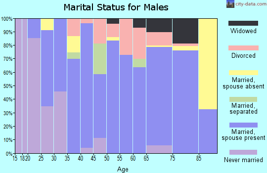 Zip code 43566 marital status for males