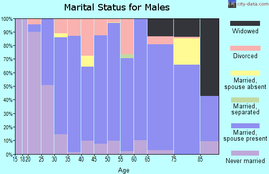 Zip code 43567 marital status for males