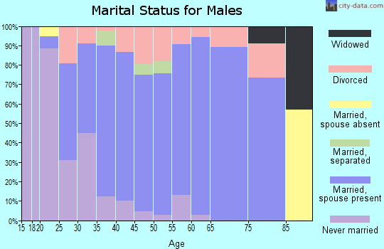 Zip code 43569 marital status for males