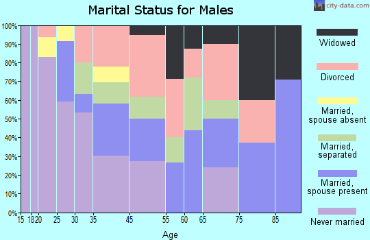 Zip code 43602 marital status for males