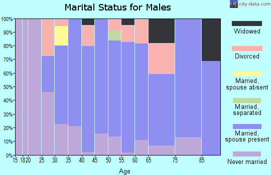 Zip code 43619 marital status for males