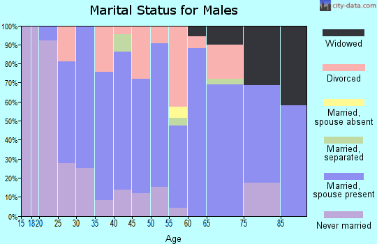 Zip code 43713 marital status for males