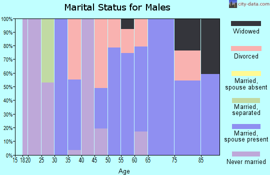Zip code 43720 marital status for males
