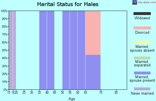 Zip code 43722 marital status for males
