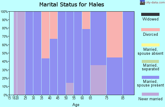 Zip code 43727 marital status for males