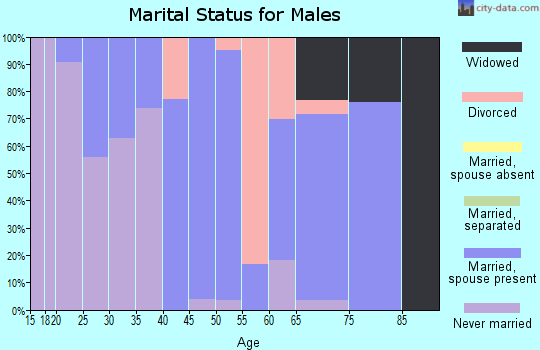 Zip code 43728 marital status for males