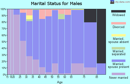 Zip code 43730 marital status for males