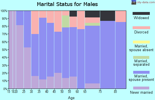 Zip code 43731 marital status for males