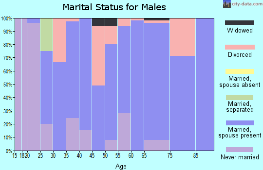 Zip code 43732 marital status for males