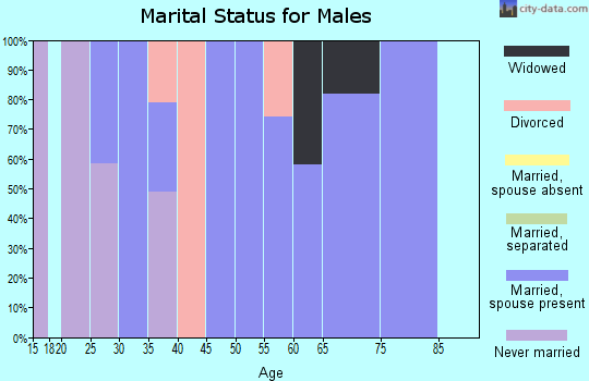 Zip code 43734 marital status for males