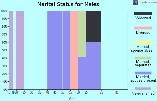 Zip code 43735 marital status for males