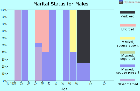 Zip code 43738 marital status for males