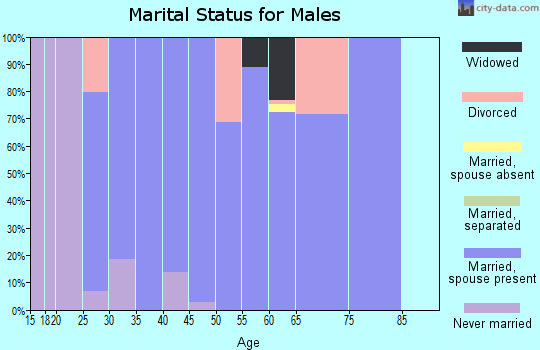 Zip code 43739 marital status for males