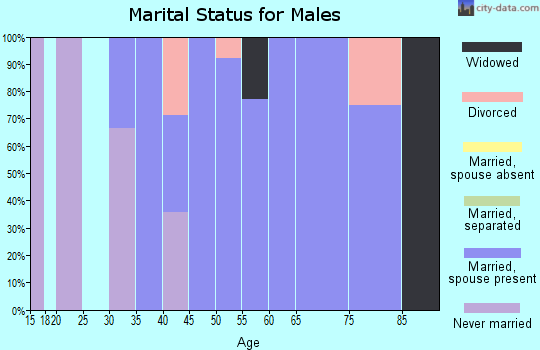Zip code 43740 marital status for males