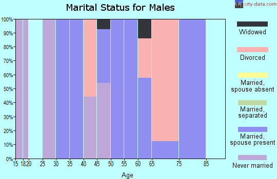 Zip code 43746 marital status for males