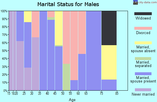 Zip code 43747 marital status for males