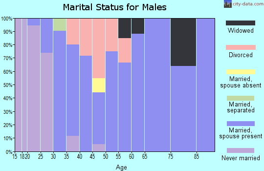 Zip code 43749 marital status for males