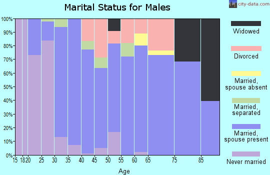 Zip code 43758 marital status for males