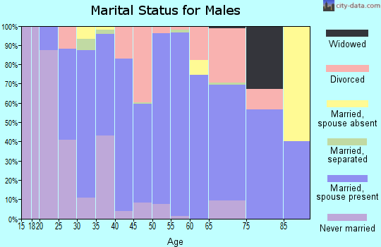 Zip code 43762 marital status for males