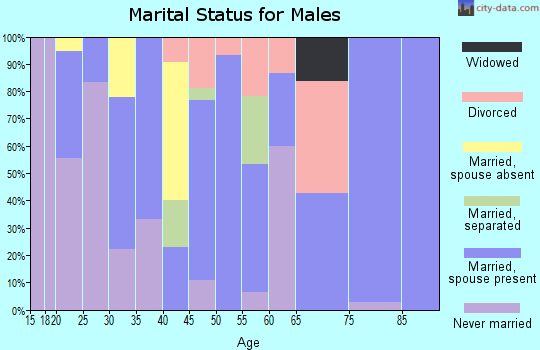 Zip code 43766 marital status for males