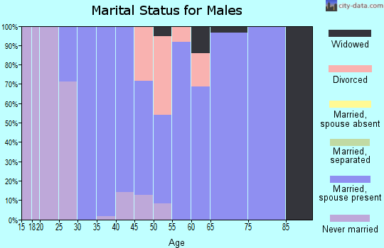 Zip code 43767 marital status for males