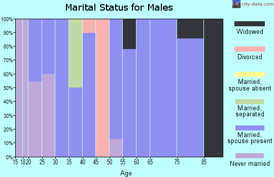 Zip code 43768 marital status for males