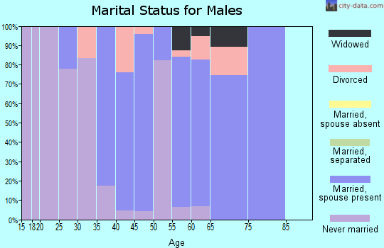 Zip code 43771 marital status for males