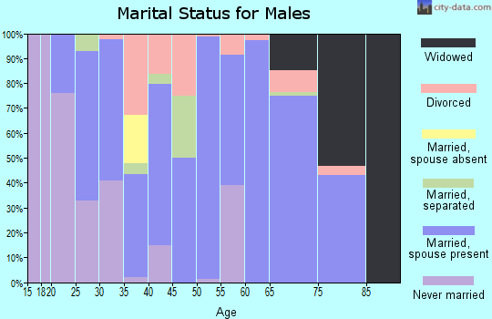 Zip code 43773 marital status for males