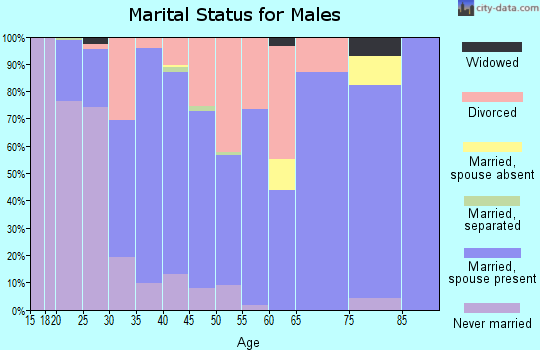 Zip code 43777 marital status for males