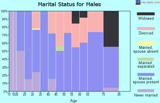 Zip code 43778 marital status for males