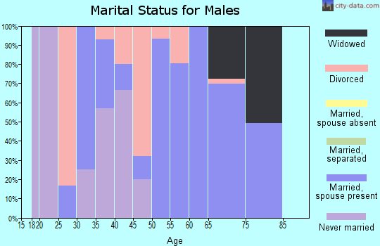 Zip code 43779 marital status for males