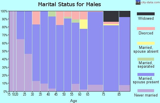 Zip code 43783 marital status for males