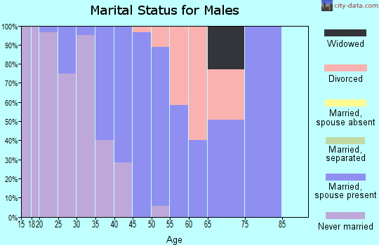 Zip code 43788 marital status for males