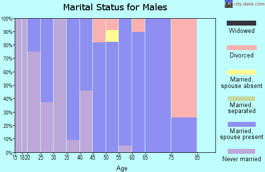 Zip code 43802 marital status for males