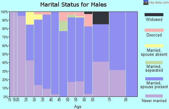 Zip code 43804 marital status for males