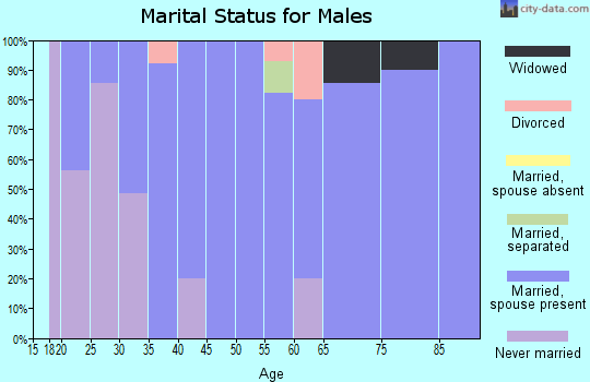 Zip code 43811 marital status for males