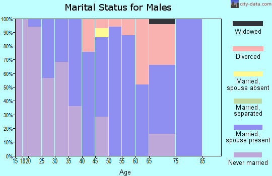 Zip code 43824 marital status for males