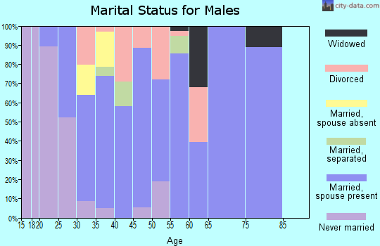 Zip code 43837 marital status for males