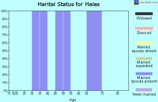 Zip code 43842 marital status for males