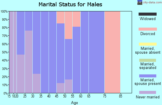 Zip code 43843 marital status for males